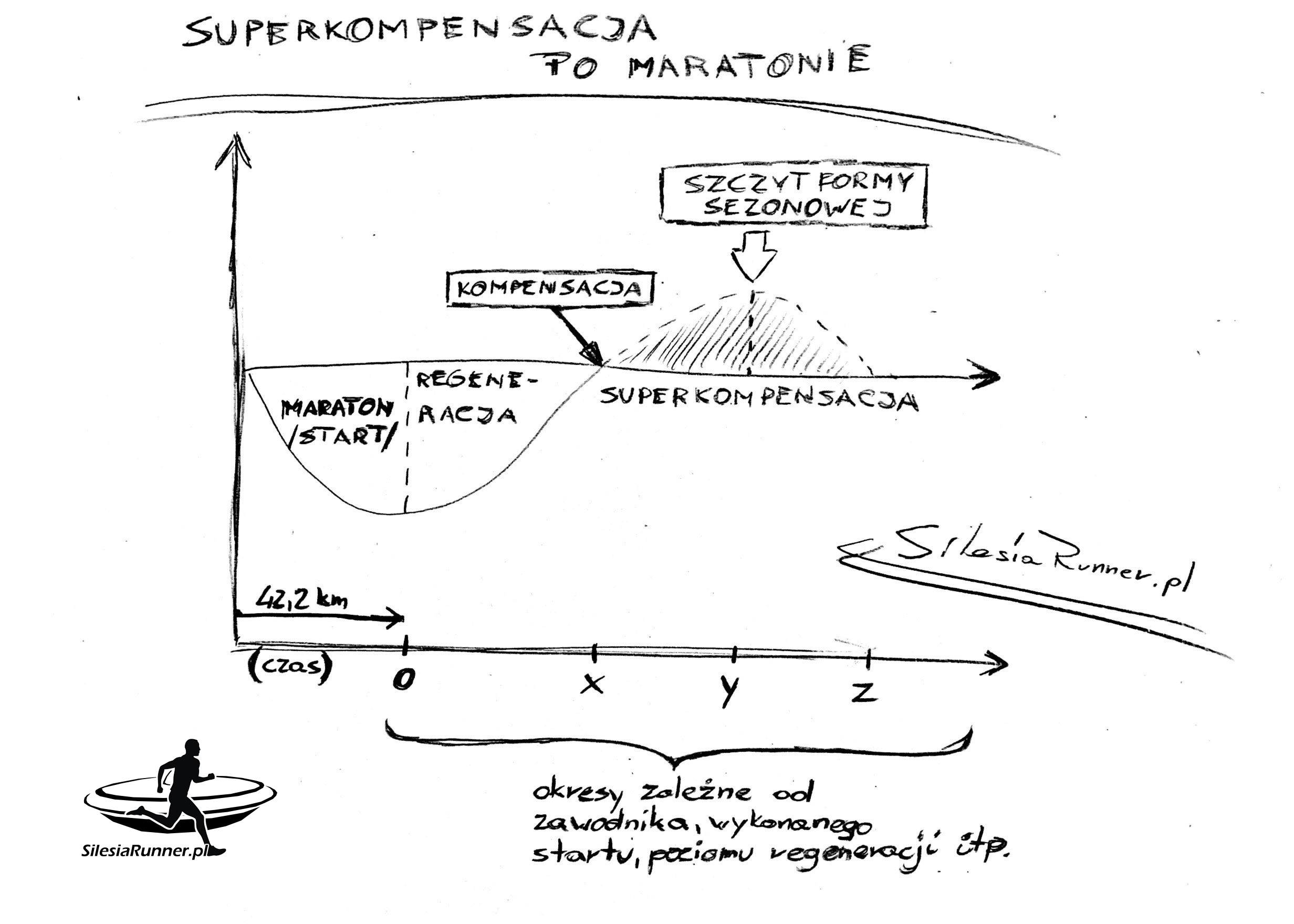 Superkompensacja – Periodyzacja treningu biegowego – cz. 2