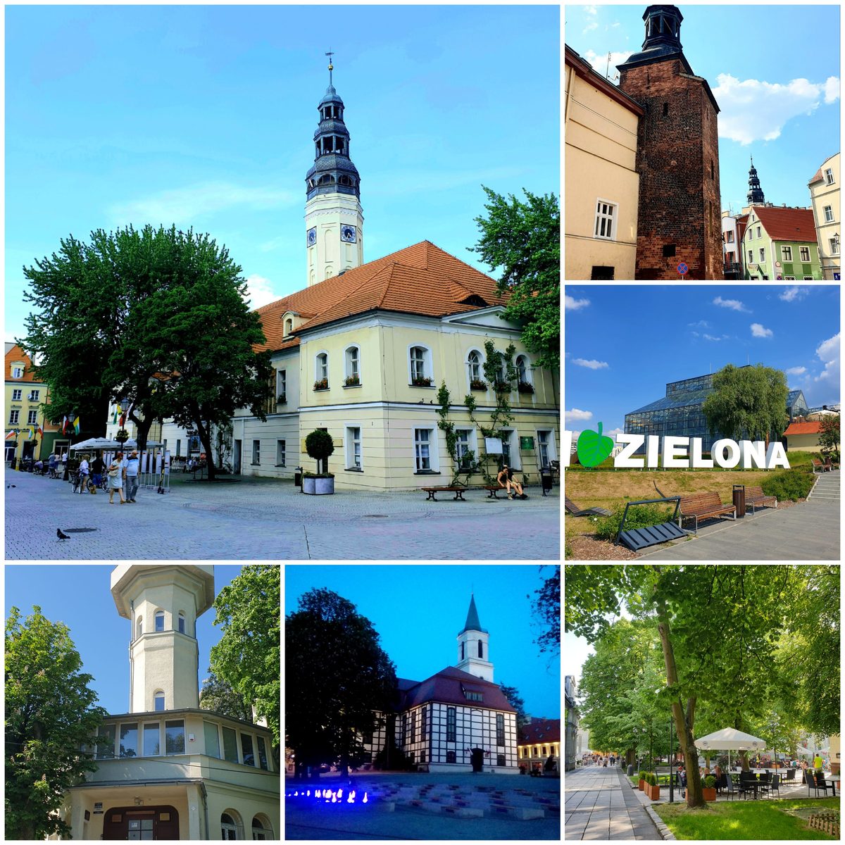Palmiarnia w Zielonej Górze – plan treningowy online powiat świebodziński, plany treningowe online