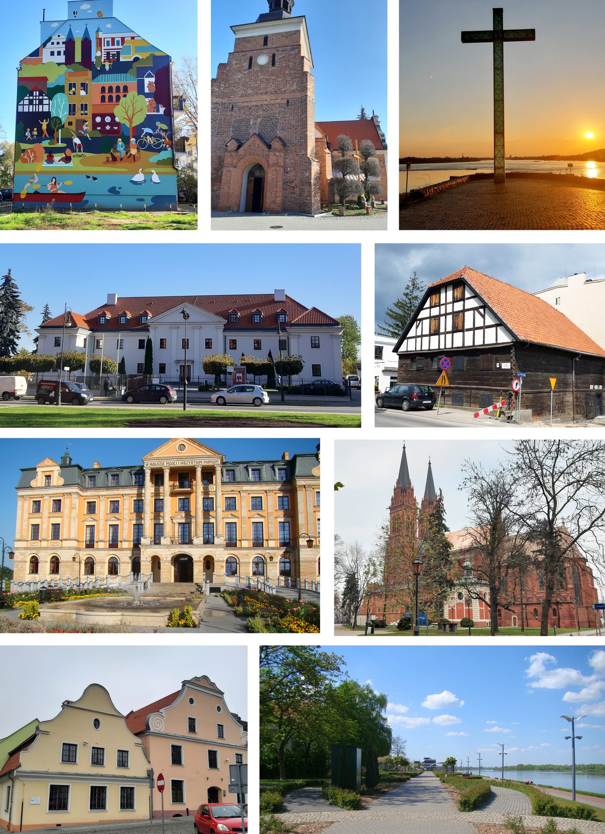 Katedra we Włocławku – trener biegania Włocławek, plany treningowe online